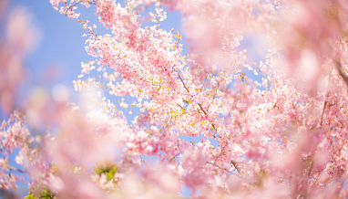 Борис Колесников 2026